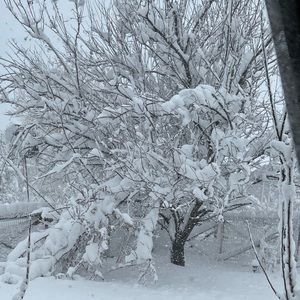 Meet your Posher, Adnan